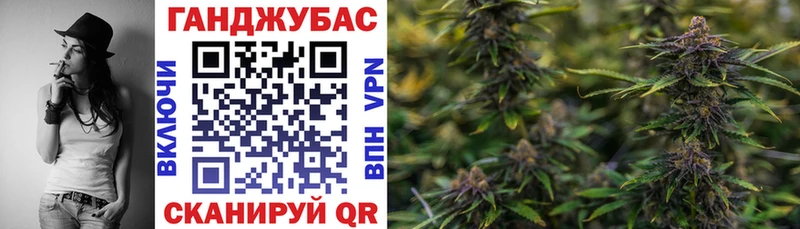 Купить Мегион Канабис ГИДРОПОН
